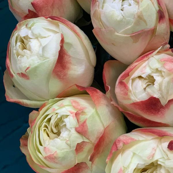 13 роз "Осеннее настроение"