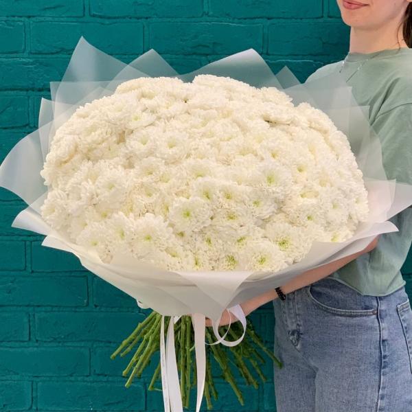 39 хризантем "Снежное облако"