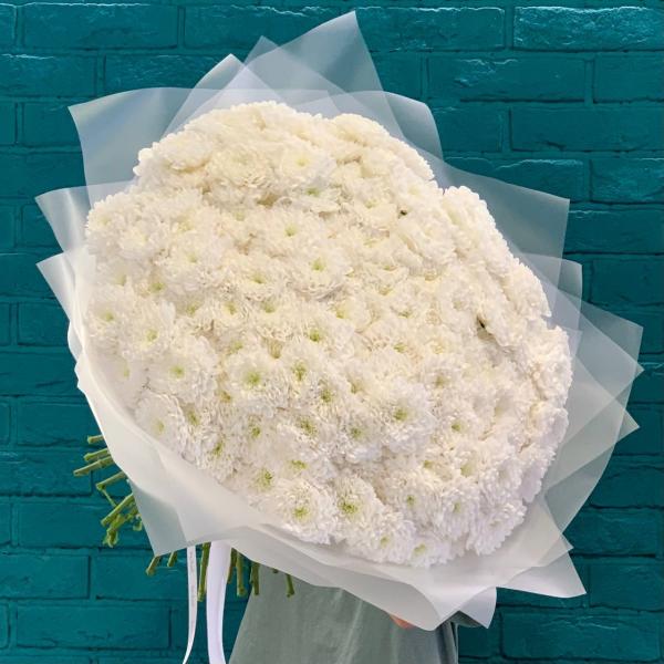 39 хризантем "Снежное облако"