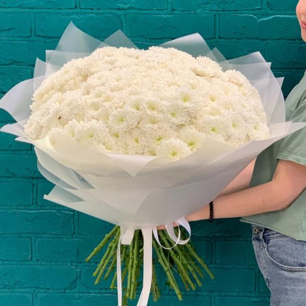 39 хризантем "Снежное облако"