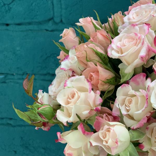 17 кустовых роз "Зайка"