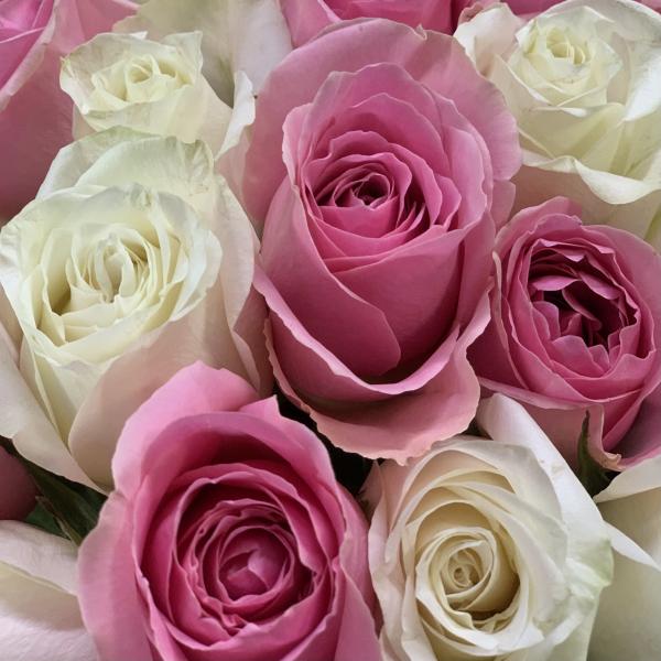 35 роз "Теплые воспоминания"