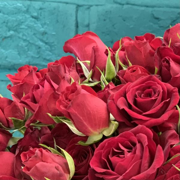 39 красных кустовых роз "Сансара"