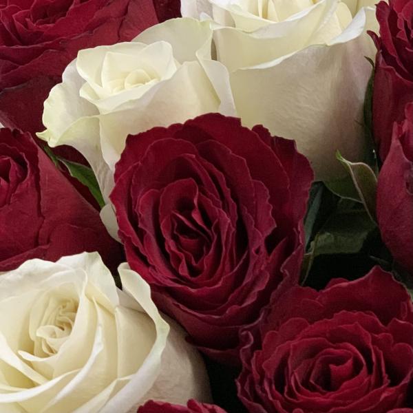 35 роз "Лондон"