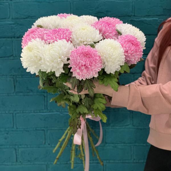 15 хризантем "Чувственная муза"