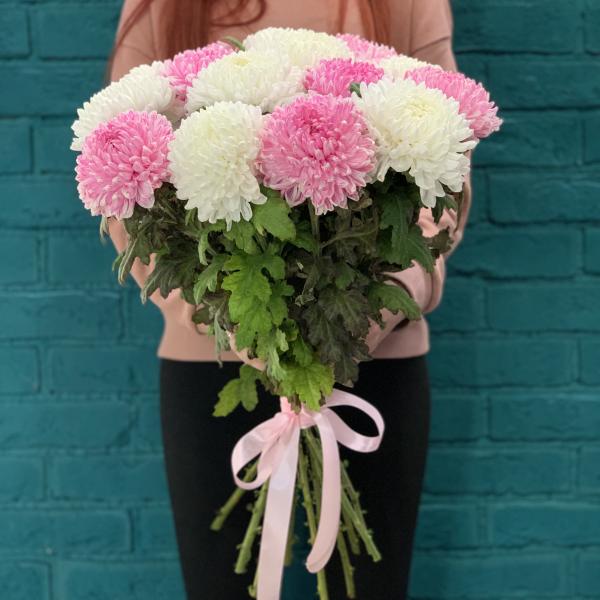 15 хризантем "Чувственная муза"