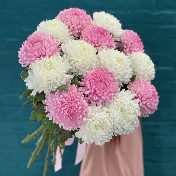 15 хризантем "Чувственная муза"