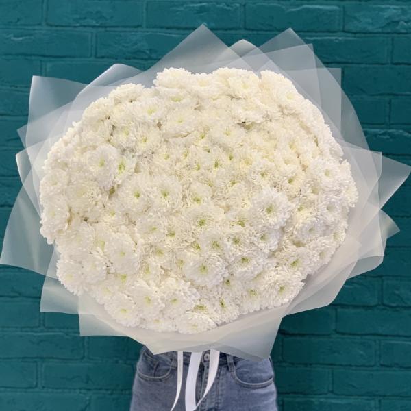 39 хризантем "Снежное облако"