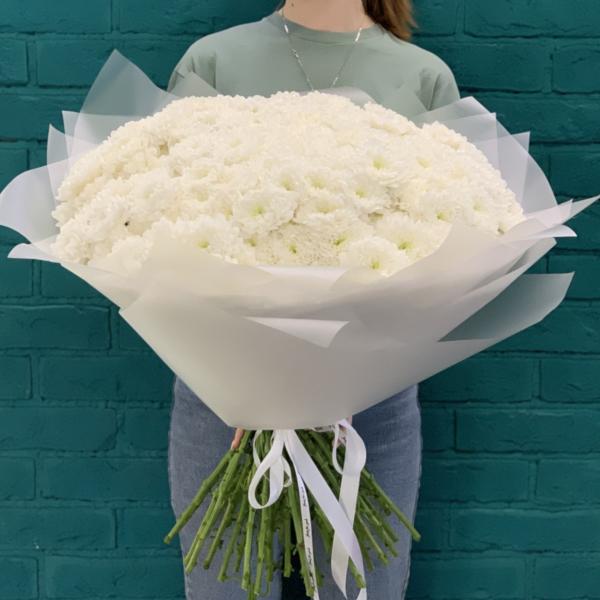 39 хризантем "Снежное облако"