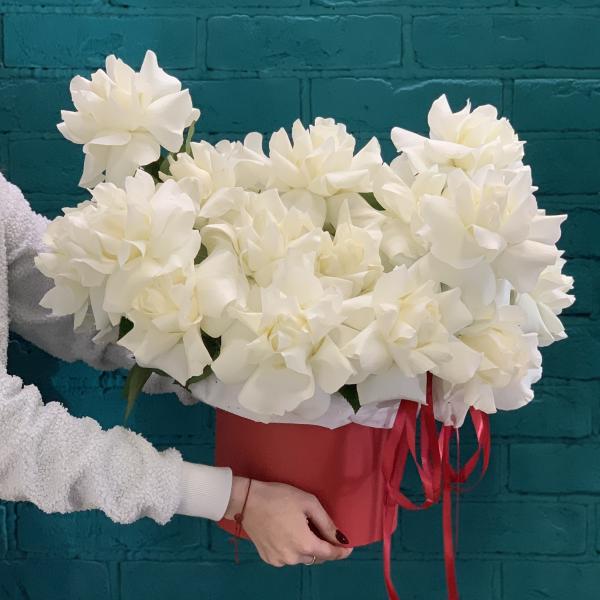 25 белых французских роз "Айсберг"