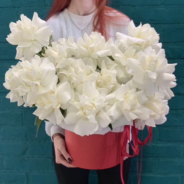 25 белых французских роз "Айсберг"