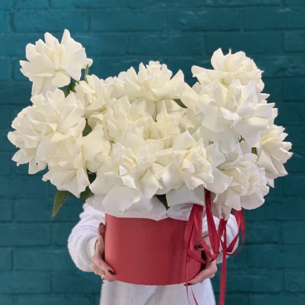 25 белых французских роз "Айсберг"