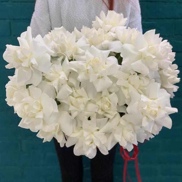 25 белых французских роз "Айсберг"