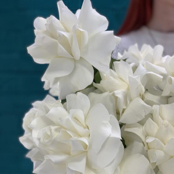 25 белых французских роз "Айсберг"