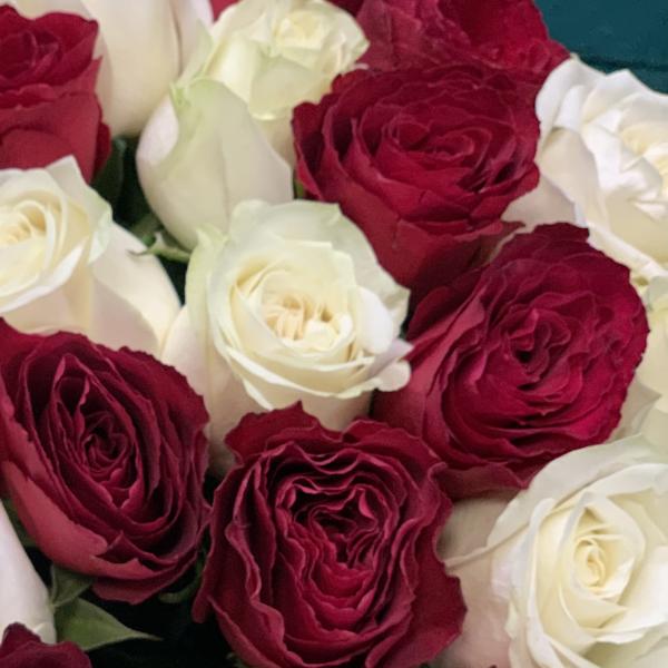 21 роза "Бостон"