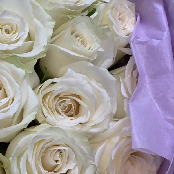 51 белая роза "Магия"