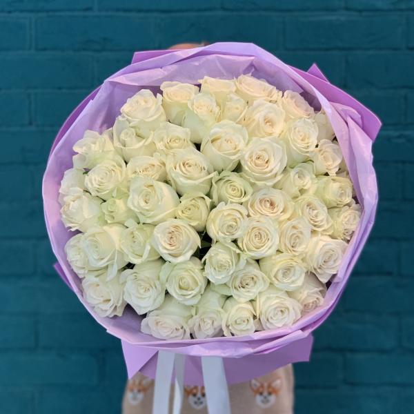 51 белая роза "Магия"