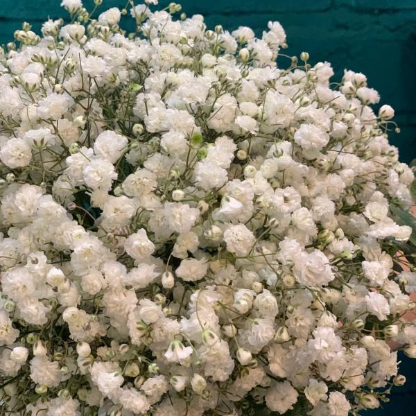 Букет невесты "Звёздный"