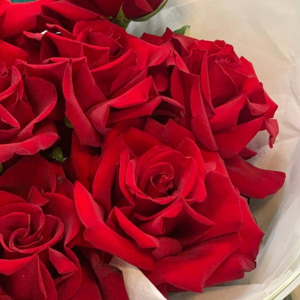 9 красных французских роз "Ариэль"
