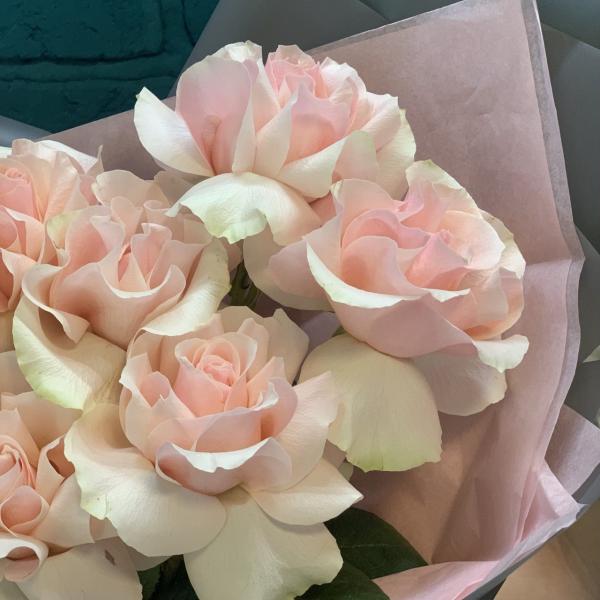 9 розовых французских роз "Вечерняя прохлада"