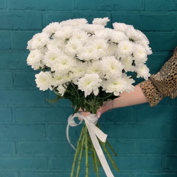 11 белых хризантем "Медвежонок"