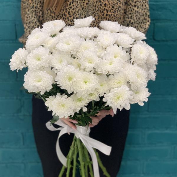 11 белых хризантем "Медвежонок"