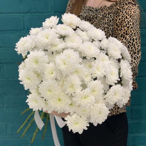 11 белых хризантем "Медвежонок"