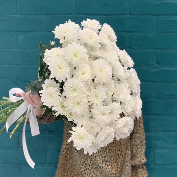 11 белых хризантем "Медвежонок"