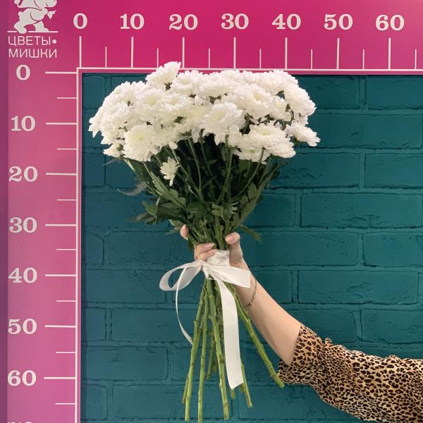 11 белых хризантем "Медвежонок"