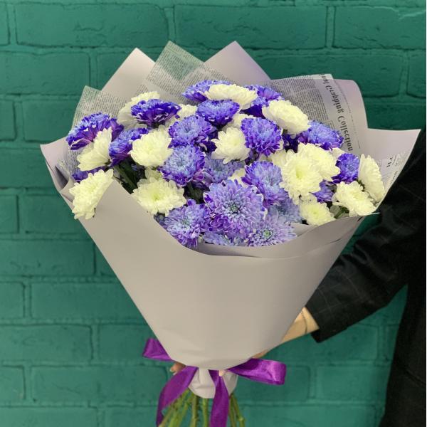 11 хризантем "Пурпурное сердце"