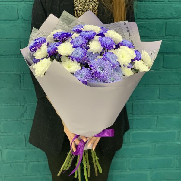 11 хризантем "Пурпурное сердце"