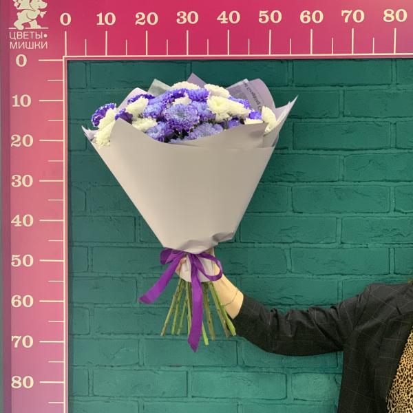 11 хризантем "Пурпурное сердце"