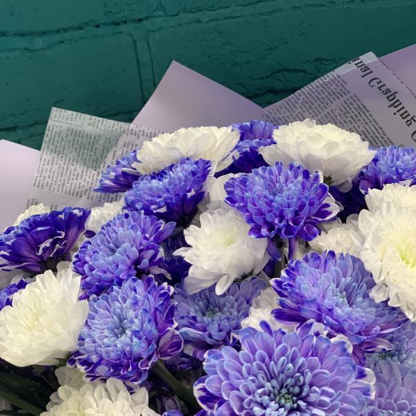 11 хризантем "Пурпурное сердце"