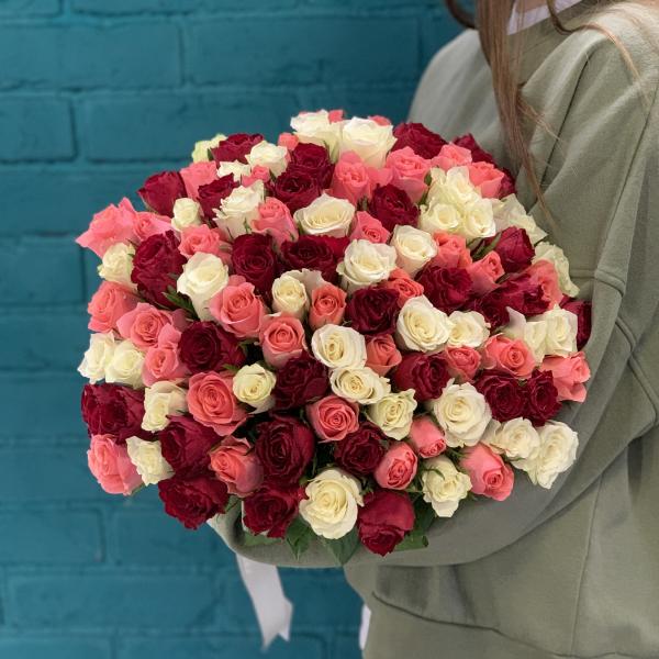 101 роза "Шелест"