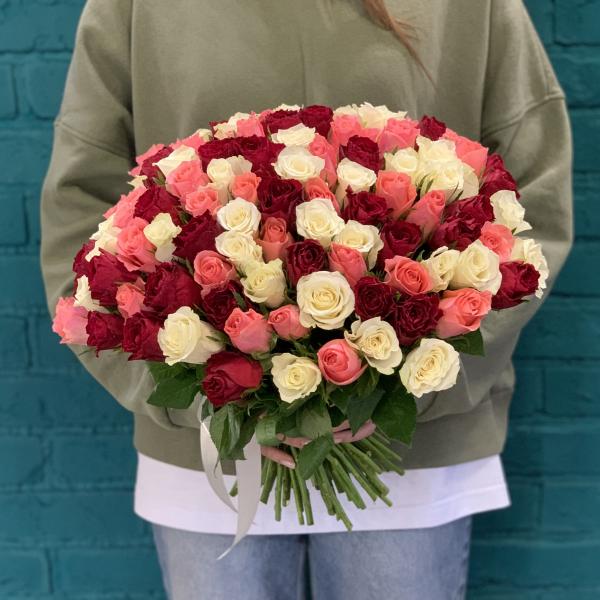 101 роза "Шелест"