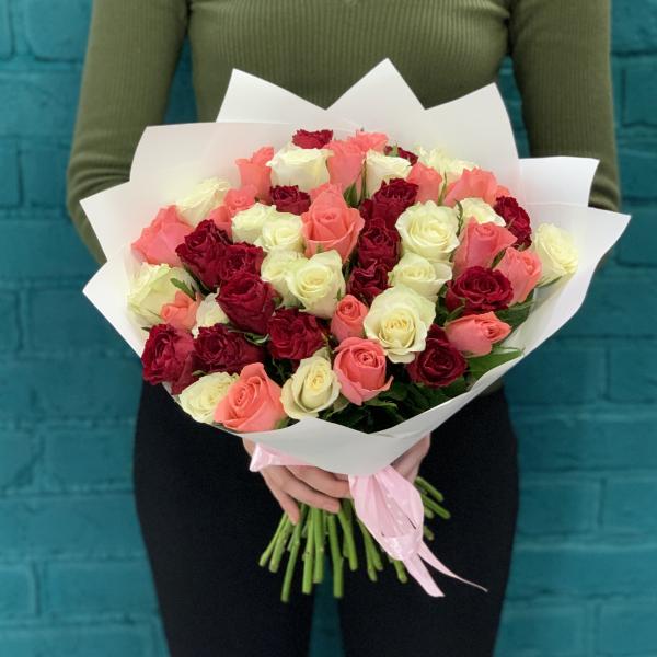 51 роза "Майя"