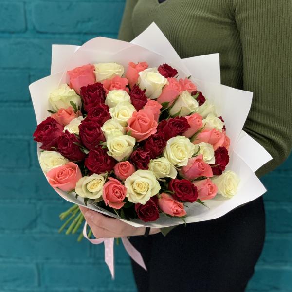 51 роза "Майя"