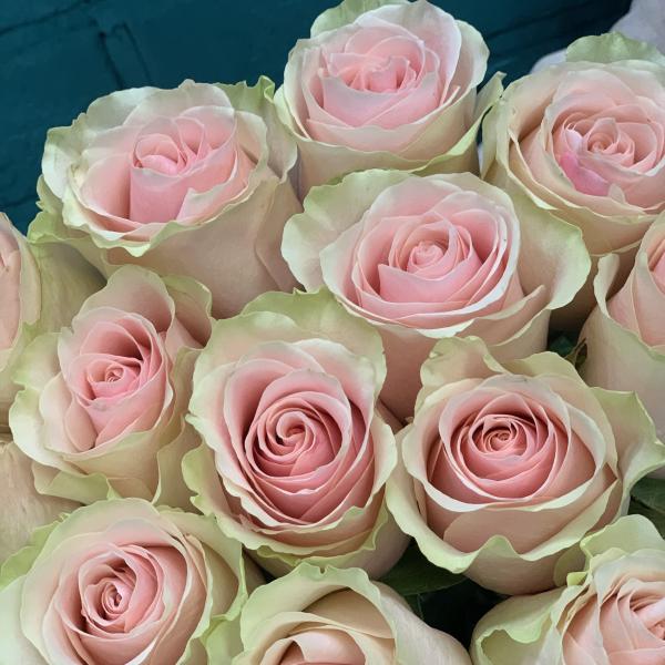 13 розовых роз "Любимая"