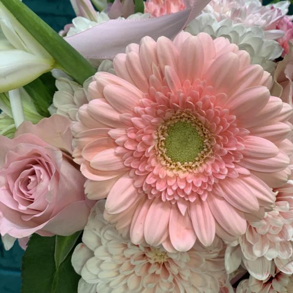 Гербера и ирис "Дева"