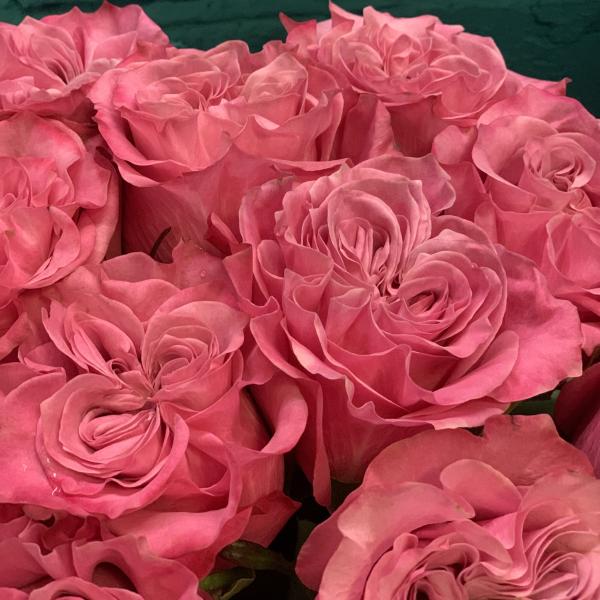 13 роз "Осенний закат"