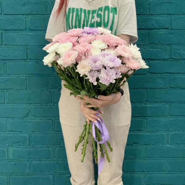 11 хризантем "Розовые облака"