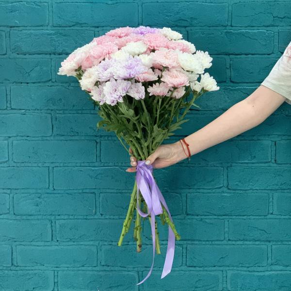 11 хризантем "Розовые облака"