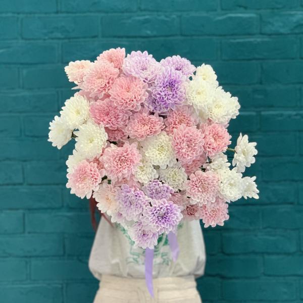 11 хризантем "Розовые облака"