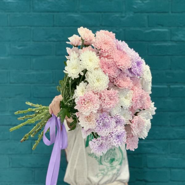 11 хризантем "Розовые облака"