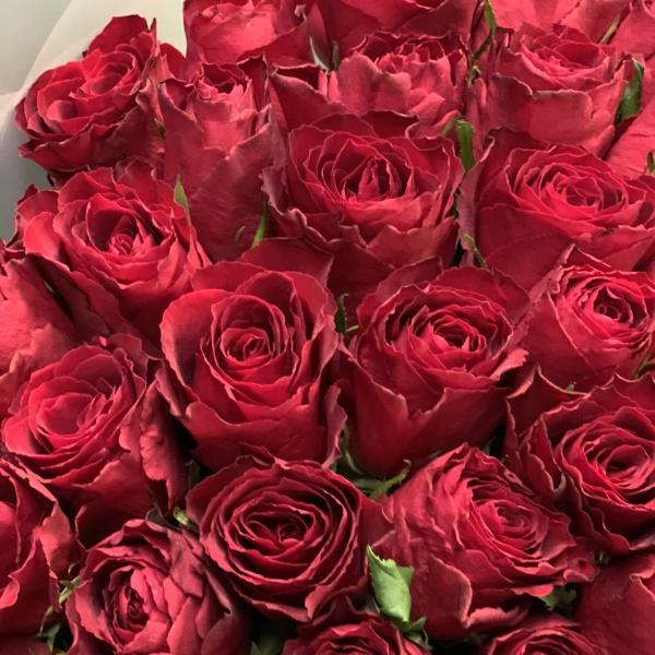 71 красная роза "Страстный закат"