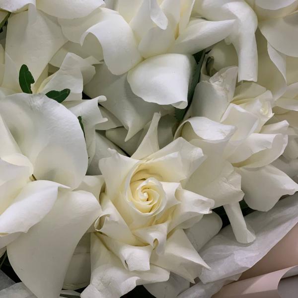 9 белых французских роз "Воздушный зефир"