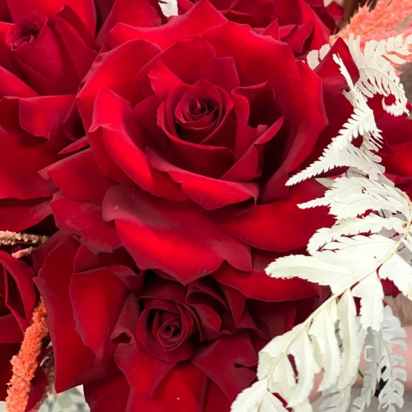 11 красных французских роз "Сердце ангела"