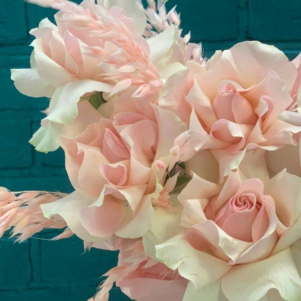 Французская роза и амарант "Чуткий поцелуй"