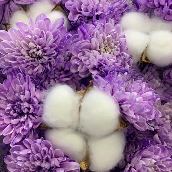 Хризантема и хлопок "Сиреневая ночь"