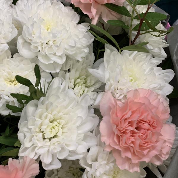 Хризантема и гвоздика "Нежный сон"